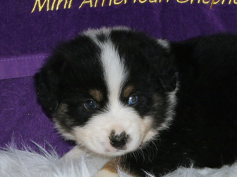 Check out that sweet face. 